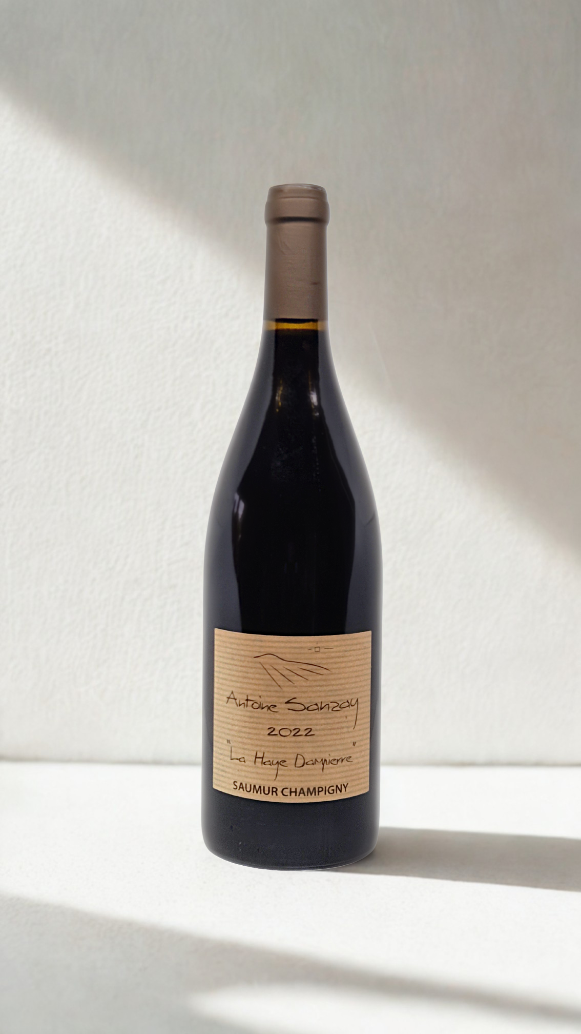 Domaine Antoine Sanzay – La Haye Dampierre – Saumur-Champigny