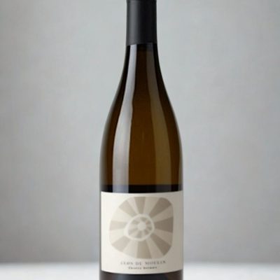 Domaine des Roches Neuves (Thierry Germain), Saumur Clos du Moulin